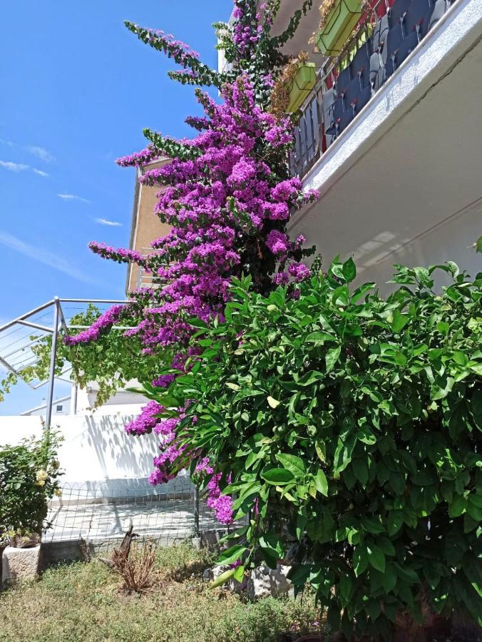New! Apartment Terrazen Split - Free Car Parking Exterior photo